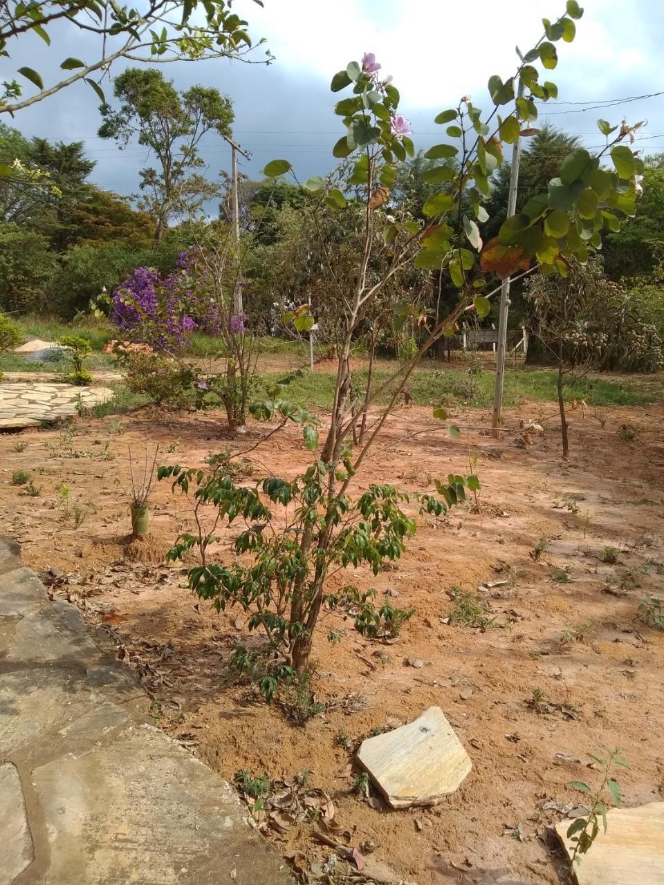 Sitio Vale Das Montanhas São Tomé das Letras المظهر الخارجي الصورة