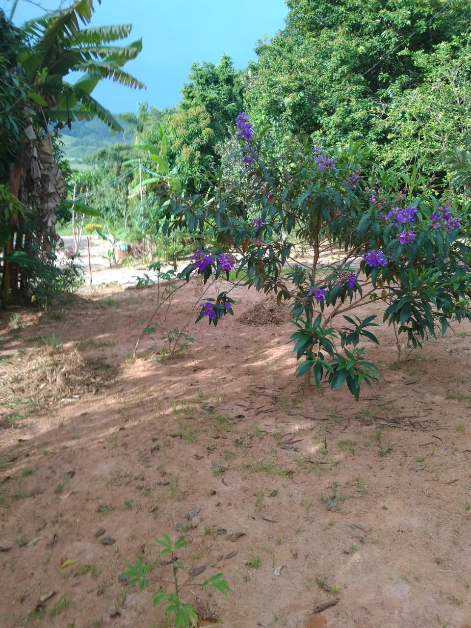 Sitio Vale Das Montanhas São Tomé das Letras المظهر الخارجي الصورة